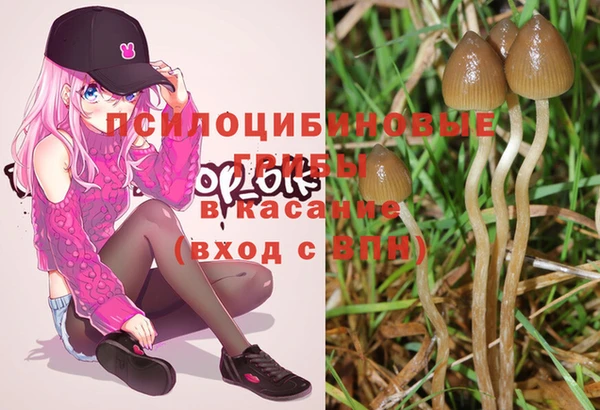 ECSTASY Покров