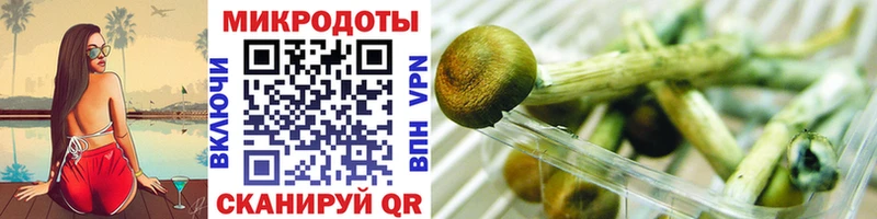 Галлюциногенные грибы Magic Shrooms Александровск-Сахалинский