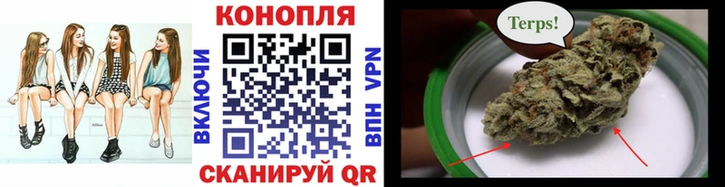 mega рабочий сайт  что такое наркотик  Александровск-Сахалинский  Конопля гибрид 